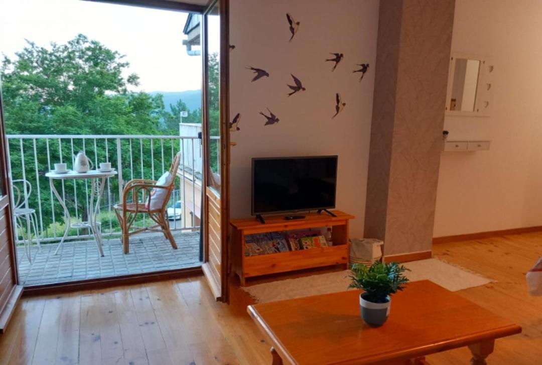 Apartamento Los Pajaritos Villanúa Kültér fotó